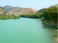 Δολοφονία άγνωστου άνδρα στον Καλαμά