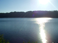 Υψηλά ποσοστά τοξικότητας στη λίμνη Ζηρού