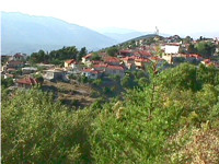 Πρόταση Δήμων Ζίτσας, Ευρυμενών, Μολοσσών